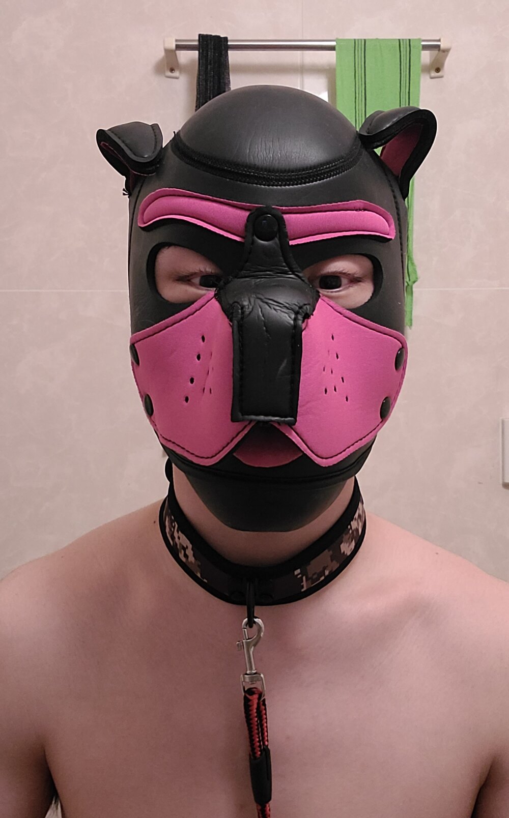 lioncake1221 Chatroom