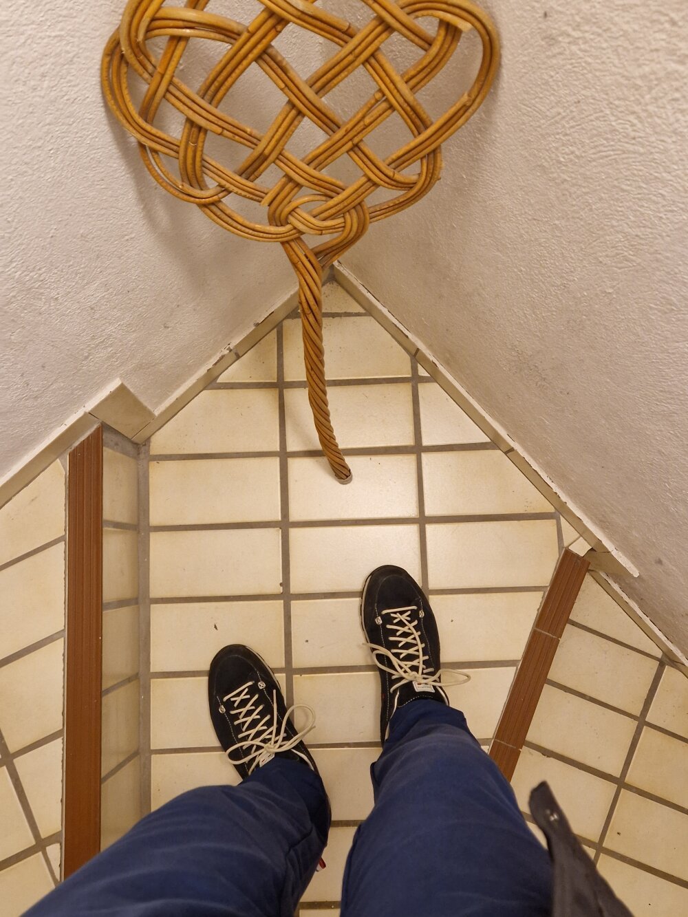 molicaremolicare Chatroom