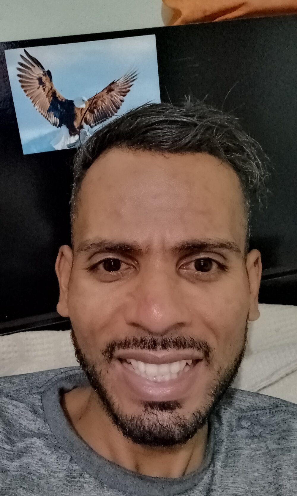 moreno_alpha_br Chatroom