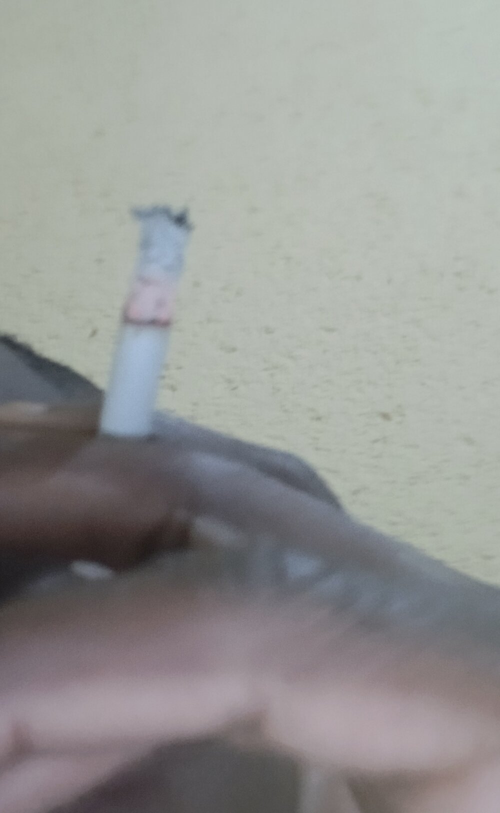 plain-kevin Chatroom