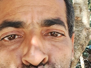 ramdhanov