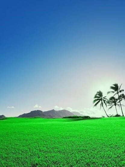 sexyboy050505 Chatroom