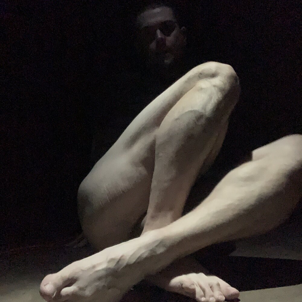 shyhuskyguy Chatroom