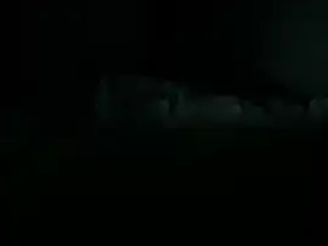 small_harry