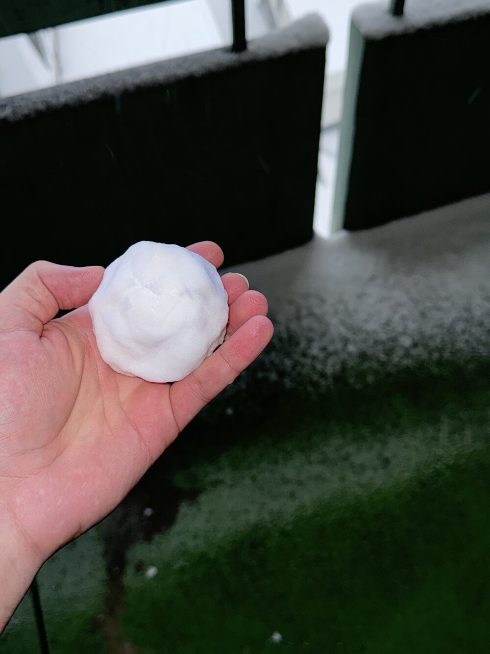 stiflertheman69 Chatroom