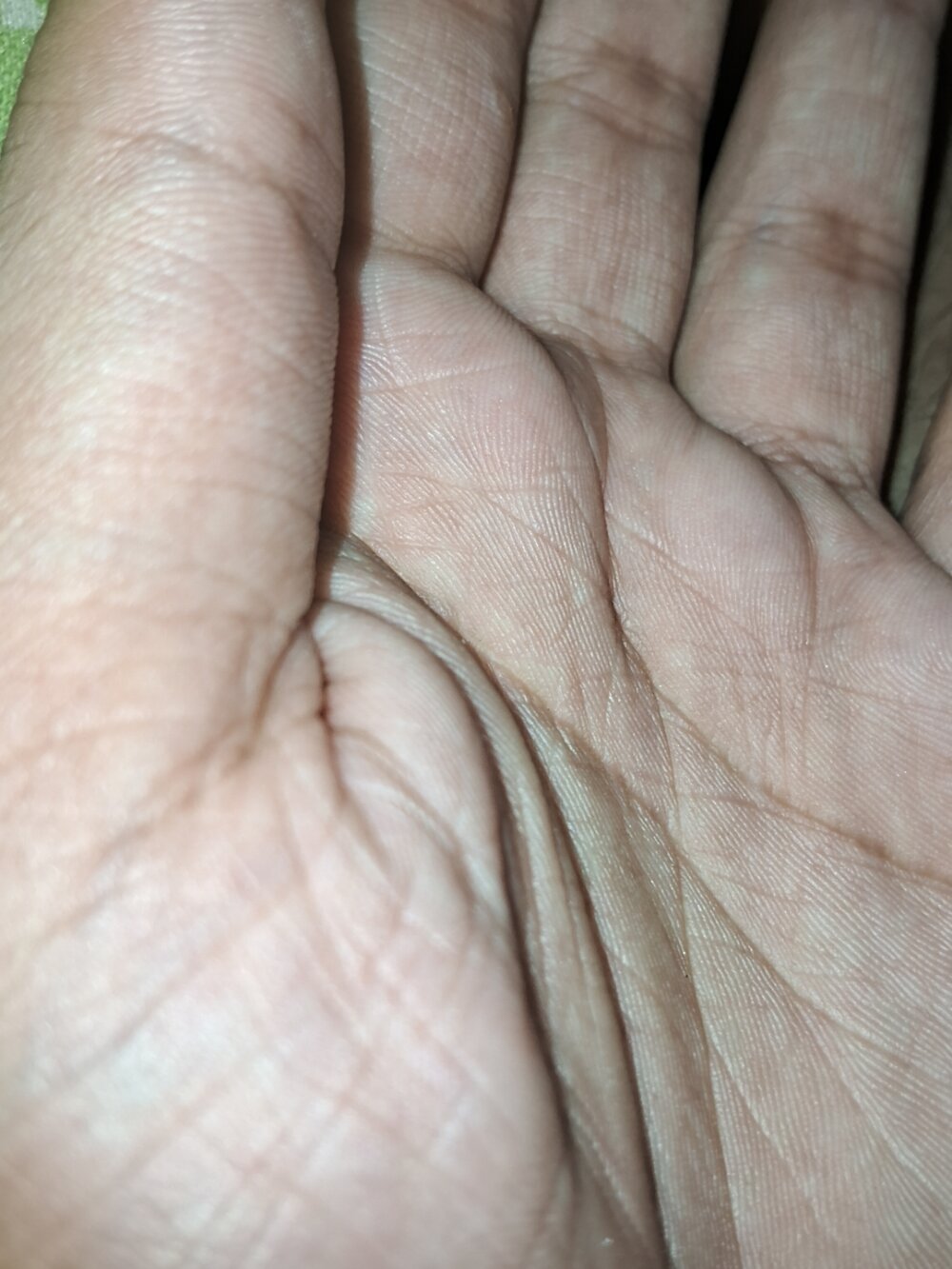 telegramdude Chatroom