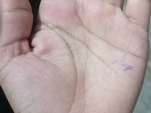 teluguboy_699