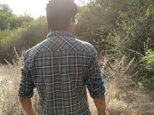 the_roughrider