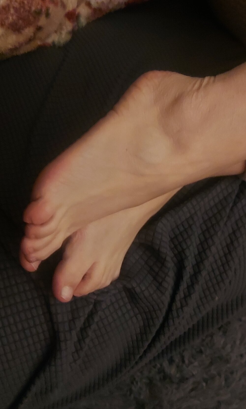 xDaisyxEvanx Chatroom