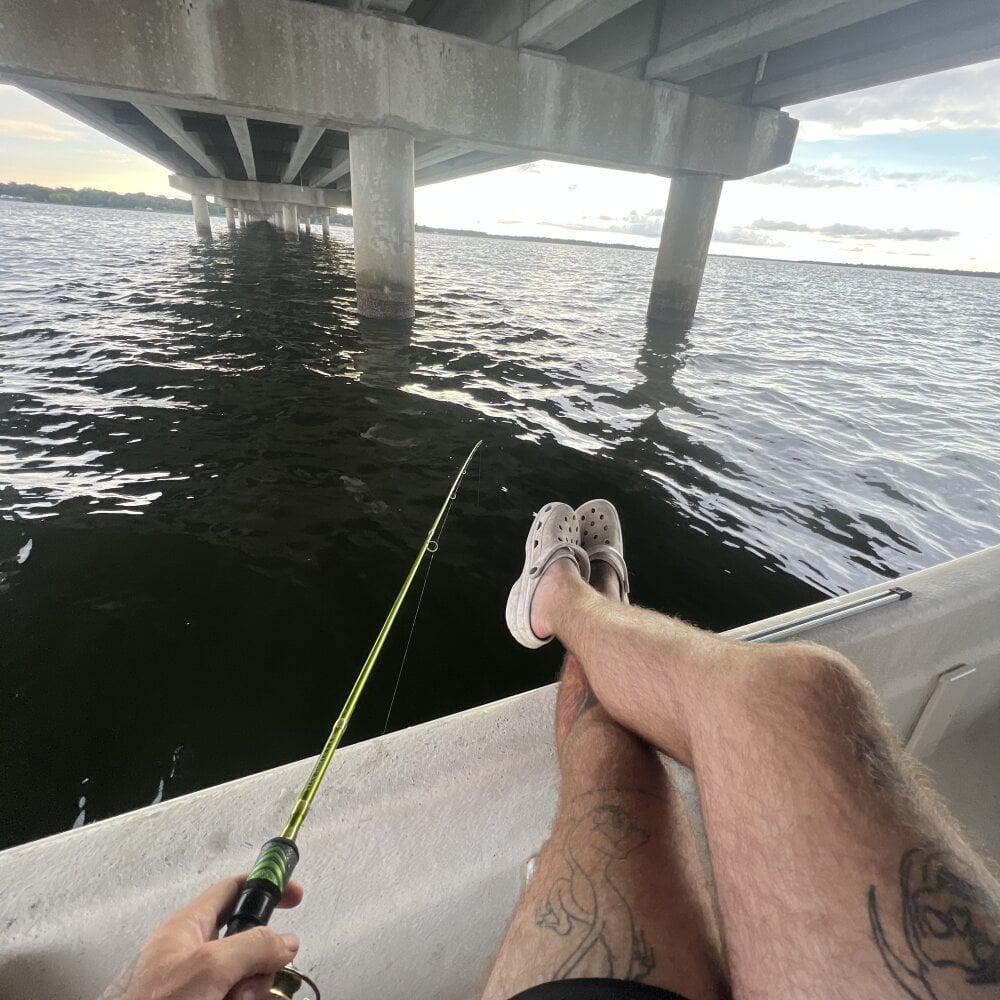 youngandhung3263 Chatroom